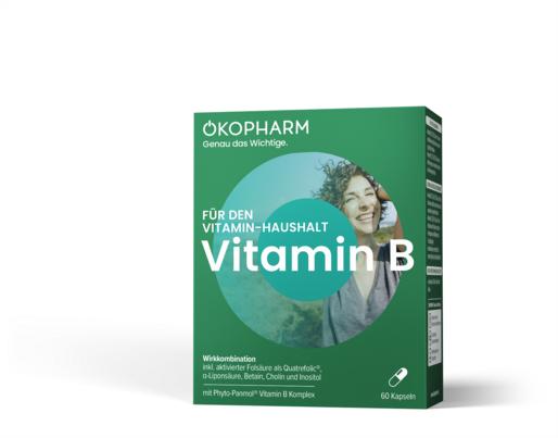 Sie sehen eine Packung Ökopharm44® Vitamin B Wirkkomplex Kapseln 60ST, 60 Stück, Produktbild: 01 Ökopharm44® Vitamin B Wirkkomplex Kapseln 60ST, 60 Stück, A-Nr.: 4099248 - 01