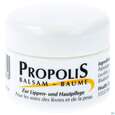 Sie sehen eine Packung PROPOLIS BLS LIPPEN+HPFL. TG, 5 Milliliter, Produktbild: 01 PROPOLIS BLS LIPPEN+HPFL. TG, 5 Milliliter, A-Nr.: 1666511 - 01