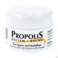 Sie sehen eine Packung PROPOLIS BLS LIPPEN+HPFL. TG, 5 Milliliter, Produktbild: 02 PROPOLIS BLS LIPPEN+HPFL. TG, 5 Milliliter, A-Nr.: 1666511 - 02