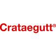 Sie sehen eine Packung Crataegutt® Flüssigkeit zum Einnehmen, 100 Milliliter, Produktbild: 05 Crataegutt® Flüssigkeit zum Einnehmen, 100 Milliliter, A-Nr.: 4210289 - 05