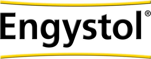 Sie sehen eine Packung Engystol®-Tabletten, 100 Stück, Produktbild: 03 Engystol®-Tabletten, 100 Stück, A-Nr.: 1333494 - 03