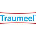 Sie sehen eine Packung Traumeel®-Tropfen, 100 Milliliter, Produktbild: 05 Traumeel®-Tropfen, 100 Milliliter, A-Nr.: 0511137 - 05