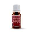 Sie sehen eine Packung WARZIN gegen Warzen 10ml, 10 Milliliter, Produktbild: 02 WARZIN gegen Warzen 10ml, 10 Milliliter, A-Nr.: 4626819 - 02