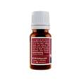 Sie sehen eine Packung WARZIN gegen Warzen 10ml, 10 Milliliter, Produktbild: 03 WARZIN gegen Warzen 10ml, 10 Milliliter, A-Nr.: 4626819 - 03