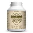 Sie sehen eine Packung Olivenblattextrakt MONO 500mg Kapseln 180 Stk., 180 Stück, Produktbild: 01 Olivenblattextrakt MONO 500mg Kapseln 180 Stk., 180 Stück, A-Nr.: 4593244 - 01