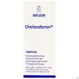 Sie sehen eine Packung Choleodoron Tropfen Z Einnehmen 50ml, Produktbild: 01 Choleodoron Tropfen Z Einnehmen 50ml, A-Nr.: 2274405 - 01