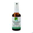 GEMMO MAZERAT JO.BEER SP.PHY, 50 Milliliter, A-Nr.: 3107388 - 02