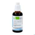 Sie sehen eine Packung Grapefruit Bio Extrakt Life Seed Fluessig 50ml, Produktbild: 04 Grapefruit Bio Extrakt Life Seed Fluessig 50ml, A-Nr.: 3893808 - 04