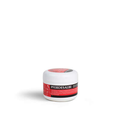 Sie sehen eine Packung PFERDESLB MENSCH DOS, 100 Milliliter, Produktbild: 01 PFERDESLB MENSCH DOS, 100 Milliliter, A-Nr.: 3128574 - 01