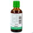 Sie sehen eine Packung Bittergurke Tinktur Phytopharma 50ml, Produktbild: 03 Bittergurke Tinktur Phytopharma 50ml, A-Nr.: 3451275 - 03