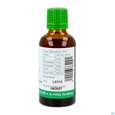 Sie sehen eine Packung Bittergurke Tinktur Phytopharma 50ml, Produktbild: 04 Bittergurke Tinktur Phytopharma 50ml, A-Nr.: 3451275 - 04