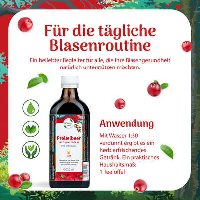 Preiselbeersaft-Konzentrat 1:30 250ml, 250 Milliliter, A-Nr.: 3063142 - 03