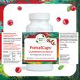 Sie sehen eine Packung Preisel-Caps mit Cranberry, Magnesium und Acerola 90 Stück, 90 Stück, Produktbild: 04 Preisel-Caps mit Cranberry, Magnesium und Acerola 90 Stück, 90 Stück, A-Nr.: 2749647 - 04