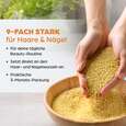 Sie sehen eine Packung Dr. Böhm Haut Haare Nägel Schönheitskur, 180 Stück, Produktbild: 03 Dr. Böhm Haut Haare Nägel Schönheitskur, 180 Stück, A-Nr.: 5052154 - 03
