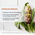 Dr. Böhm Artischoke, 30 Stück, A-Nr.: 3516135 - 03