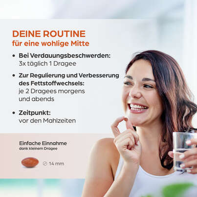 Dr. Böhm Artischoke, 30 Stück, A-Nr.: 3516135 - 05