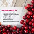 Sie sehen eine Packung Dr. Böhm Cranberry akut, 10 Stück, Produktbild: 03 Dr. Böhm Cranberry akut, 10 Stück, A-Nr.: 4830187 - 03
