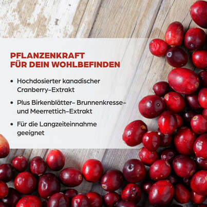 Sie sehen eine Packung Dr. Böhm Cranberry complex, 30 Stück, Produktbild: 03 Dr. Böhm Cranberry complex, 30 Stück, A-Nr.: 4846030 - 03