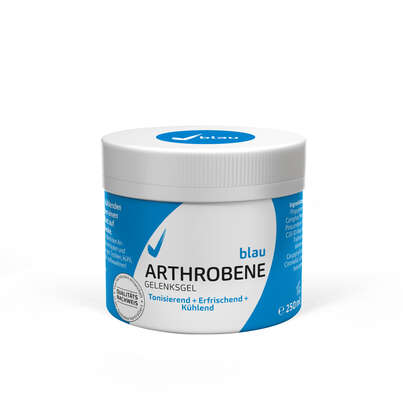 Sie sehen eine Packung ARTHROBENE Gelenksgel Blau, 250 Milliliter, Produktbild: 04 ARTHROBENE Gelenksgel Blau, 250 Milliliter, A-Nr.: 3141907 - 04