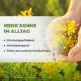 Sie sehen eine Packung Dr. Böhm Johanniskraut forte, 30 Stück, Produktbild: 03 Dr. Böhm Johanniskraut forte, 30 Stück, A-Nr.: 4201190 - 03