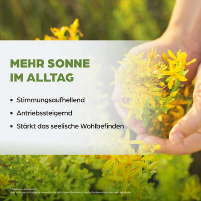 Sie sehen eine Packung Dr. Böhm Johanniskraut forte, 30 Stück, Produktbild: 03 Dr. Böhm Johanniskraut forte, 30 Stück, A-Nr.: 4201190 - 03
