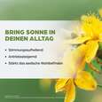 Dr. Böhm Johanniskraut, 60 Stück, A-Nr.: 2426849 - 03