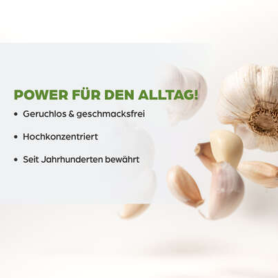Sie sehen eine Packung Dr. Böhm Knoblauch nur 1 Dragee täglich, 90 Stück, Produktbild: 03 Dr. Böhm Knoblauch nur 1 Dragee täglich, 90 Stück, A-Nr.: 2552442 - 03