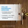 Sie sehen eine Packung Dr. Böhm Magnesium nur 1 Dragee täglich, 30 Stück, Produktbild: 03 Dr. Böhm Magnesium nur 1 Dragee täglich, 30 Stück, A-Nr.: 1854738 - 03