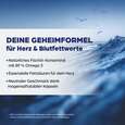 Sie sehen eine Packung Dr. Böhm Omega 3 complex, 60 Stück, Produktbild: 03 Dr. Böhm Omega 3 complex, 60 Stück, A-Nr.: 4733573 - 03