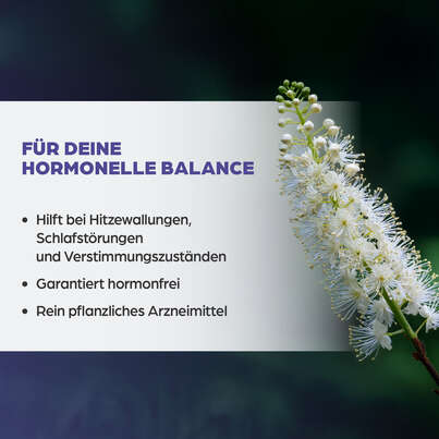 Sie sehen eine Packung Dr. Böhm Traubensilberkerze, 60 Stück, Produktbild: 03 Dr. Böhm Traubensilberkerze, 60 Stück, A-Nr.: 3524353 - 03