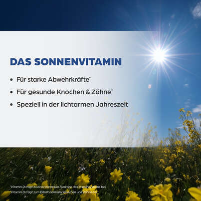 Sie sehen eine Packung Dr. Böhm Vitamin D3, 60 Stück, Produktbild: 03 Dr. Böhm Vitamin D3, 60 Stück, A-Nr.: 4902001 - 03