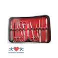 Rosner Präparier Besteck Set 11-teilig, 1 Stück, A-Nr.: 3127310 - 02
