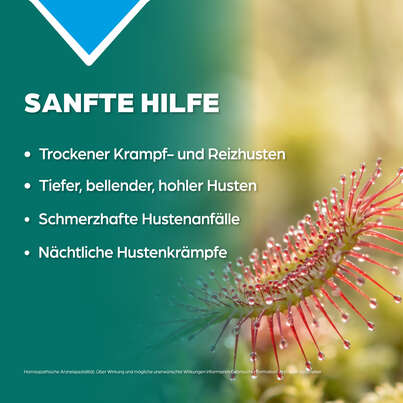 Sie sehen eine Packung Apozema® Nr. 58: Dreiklang Globuli bei trockenem Krampf- und Reizhusten, Produktbild: 03 Apozema® Nr. 58: Dreiklang Globuli bei trockenem Krampf- und Reizhusten, A-Nr.: 3529557 - 03