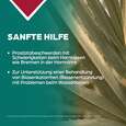 Sie sehen eine Packung Apozema® Nr. 25 Prostata-Tropfen, Produktbild: 03 Apozema® Nr. 25 Prostata-Tropfen, A-Nr.: 0987727 - 03