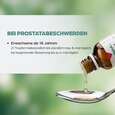 Sie sehen eine Packung Apozema® Nr. 25 Prostata-Tropfen, Produktbild: 05 Apozema® Nr. 25 Prostata-Tropfen, A-Nr.: 0987727 - 05