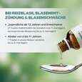 Sie sehen eine Packung Apozema® Nr. 26 Reizblasen-Tropfen, Produktbild: 05 Apozema® Nr. 26 Reizblasen-Tropfen, A-Nr.: 0987928 - 05
