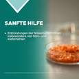 Sie sehen eine Packung Apozema® Nr. 31 Sinusitis-Tropfen, Produktbild: 03 Apozema® Nr. 31 Sinusitis-Tropfen, A-Nr.: 0987822 - 03