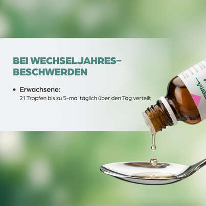 Sie sehen eine Packung Apozema® Nr. 36 Wechseljahre-Tropfen, Produktbild: 05 Apozema® Nr. 36 Wechseljahre-Tropfen, A-Nr.: 0982919 - 05