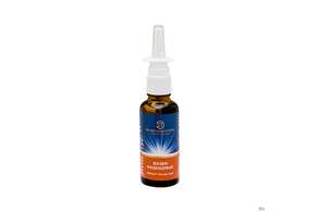 Nasenspray Lqa Basen Dr.ewald Toeth 30ml, A-Nr.: 2629239 - 01
