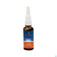 Sie sehen eine Packung Nasenspray Lqa Basen Dr.ewald Toeth 30ml, Produktbild: 01 Nasenspray Lqa Basen Dr.ewald Toeth 30ml, A-Nr.: 2629239 - 01