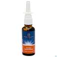 Sie sehen eine Packung Nasenspray Lqa Basen Dr.ewald Toeth 30ml, Produktbild: 02 Nasenspray Lqa Basen Dr.ewald Toeth 30ml, A-Nr.: 2629239 - 02