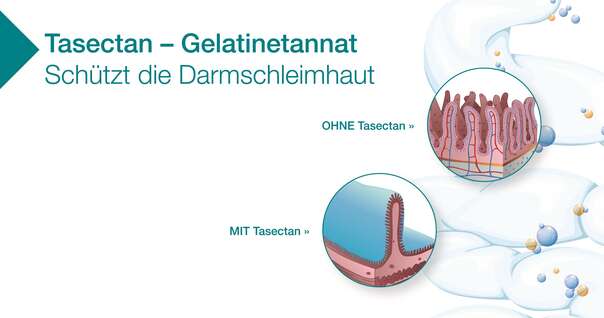 Sie sehen eine Packung Tasectan Kapseln für Erwachsene, 15 Stück, Produktbild: 03 Tasectan Kapseln für Erwachsene, 15 Stück, A-Nr.: 3919057 - 03