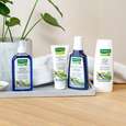 Sie sehen eine Packung RAUSCH Salbei SILBERGLANZ-SHAMPOO, 200 Milliliter, Produktbild: 03 RAUSCH Salbei SILBERGLANZ-SHAMPOO, 200 Milliliter, A-Nr.: 2155876 - 03