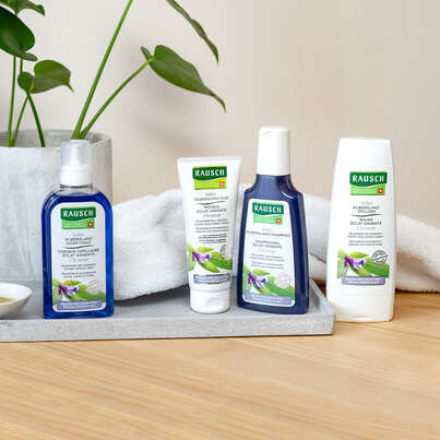 Sie sehen eine Packung RAUSCH Salbei SILBERGLANZ-SHAMPOO, 200 Milliliter, Produktbild: 03 RAUSCH Salbei SILBERGLANZ-SHAMPOO, 200 Milliliter, A-Nr.: 2155876 - 03