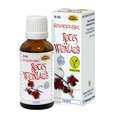 Sie sehen eine Packung Espara Rotes Weinlaub Alchemistische Essenz 30ml, 30 Milliliter, Produktbild: 02 Espara Rotes Weinlaub Alchemistische Essenz 30ml, 30 Milliliter, A-Nr.: 4040120 - 02