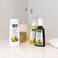 Sie sehen eine Packung RAUSCH Huflattich ANTI-SCHUPPEN SHAMPOO, 200 Milliliter, Produktbild: 03 RAUSCH Huflattich ANTI-SCHUPPEN SHAMPOO, 200 Milliliter, A-Nr.: 2155818 - 03