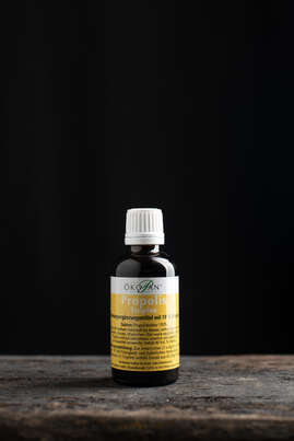 Sie sehen eine Packung Propolis Plus Tropfen Ökopan 50ml, 50 Milliliter, Produktbild: 03 Propolis Plus Tropfen Ökopan 50ml, 50 Milliliter, A-Nr.: 1371997 - 03