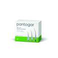 Pantogar 90 Kapseln, 90 Stück, A-Nr.: 0948851 - 01