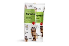 MURMELIN SPORT UND GELENKSSALBE 60ml, 60 Milliliter, A-Nr.: 0589151 - 01