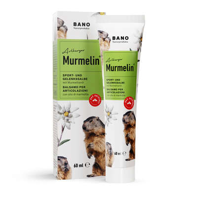 Sie sehen eine Packung MURMELIN SPORT UND GELENKSSALBE 60ml, 60 Milliliter, Produktbild: 01 MURMELIN SPORT UND GELENKSSALBE 60ml, 60 Milliliter, A-Nr.: 0589151 - 01
